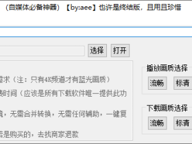 央视网视频下载器