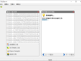 Sisulizer4-软件汉化工具