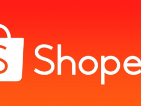 跨境Shopee(虾皮）基础运营实操课