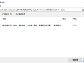 Bili23 Downloader-B站视频下载工具
