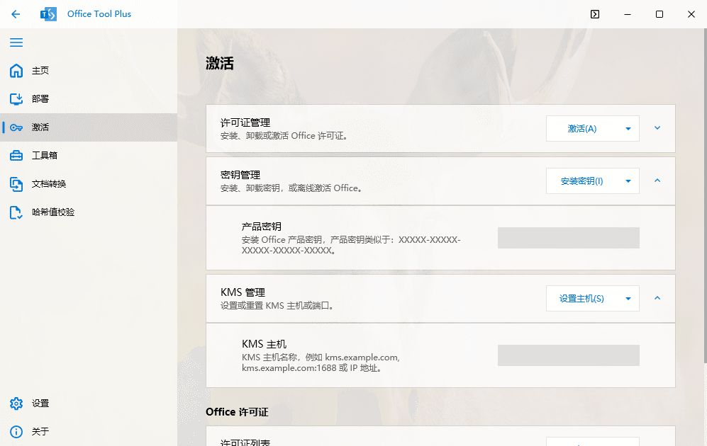 Office Tool Plus-一站式微软Office安装部署和卸载工具第3张