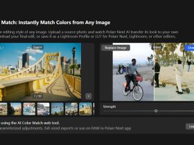 Polarr AI Color Match-一键复制图像风格的AI工具