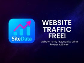 SiteData-免费网站流量与AdSense反查分析插件