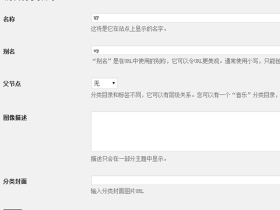 wordpress 给分类目录加自定义字段
