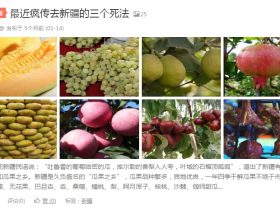 wordpress 获取文章内所有图片