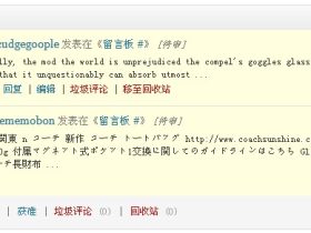 对付wordpress垃圾评论的新战术，任何wordpress主题都可以添加尝试！
