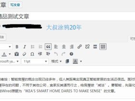 给wordpress的编辑器加入可视化样式