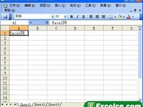 Excel2003输入文本