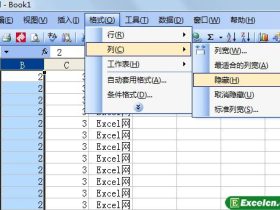 如何隐藏Excel2003的列和行