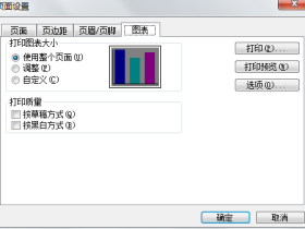 Excel2003中图表打印设置方法