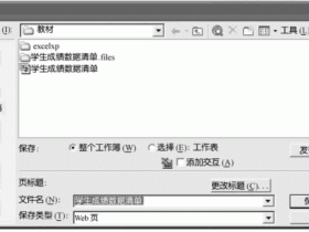 将Excel2003工作簿保存为Web页