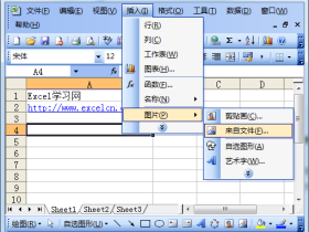 在Excel中插入存放在电脑中的图片