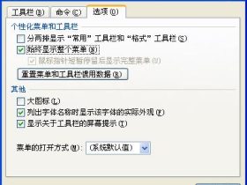 设置自定义项让EXCEL菜单完整显示