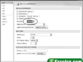 让Excel 2007以不同的风格出现
