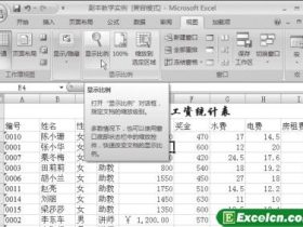 调整Excel2007文档的显示比例