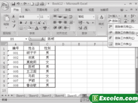 在Excel2007中删除行或列