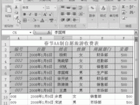 通过Excel的“格式刷”按钮来快速复制格式
