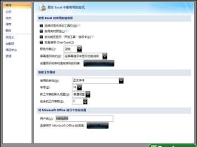 自定义excel2007的常见选项