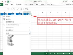 在EXCEL中设置下拉箭头筛选内容