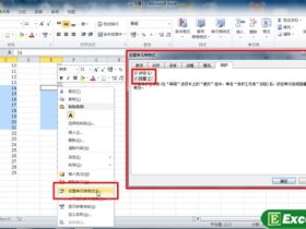 使用excel保护工作表的功能