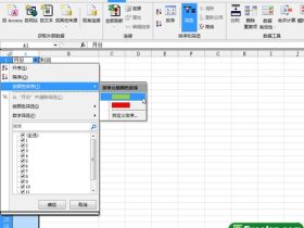 excel2010的筛选功能