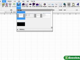 EXCEL2010中了加入了截图的功能