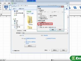 将EXCEL2010文件转存为PDF文档