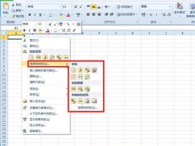 excel2010中粘贴预览功能的效果