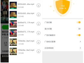 pure浏览器 - 支持视频嗅探下载的浏览器
