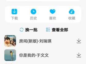 免费音乐下载APP - DX云音乐
