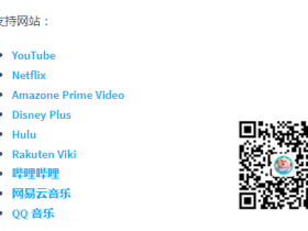 DualSub - YouTube双语字幕插件