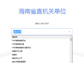 WPS政府专业版