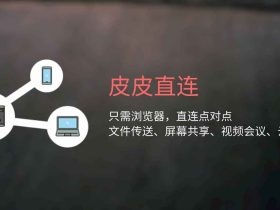 皮皮直连-有网就能用，打开浏览器就能传文件、共享屏幕