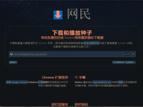 Webtor-在线观看下载磁力视频插件