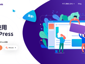 一键创建 WordPress 免费测试网站