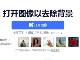 BgSub-在线抠图