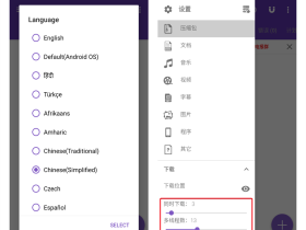 1DM+安卓版手机下载神器
