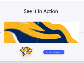 Vectorizer AI：免费将JPEG和PNG位图转换为SVG矢量图