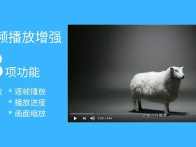 HTML5视频播放器增强脚本-油猴脚本