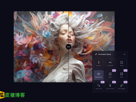 LeiaPix-将2D图片转3D效果AI工具