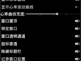 心率投屏工具-电脑上实时查看心率，守护你的健康