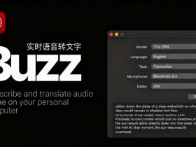 Buzz-开源、离线的实时语音转文字工具