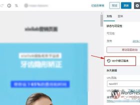 WordPress入门：文章修订版指南