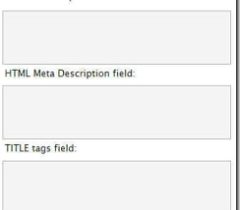 wordpress seo之meta的处理