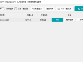 微信视频号下载工具V2.6