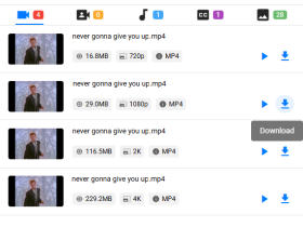 SnapWC浏览器插件-让你轻松下载全网视频、直播、字幕与图片