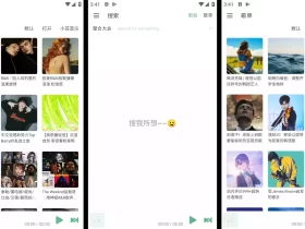 新洛雪音乐v8.8.8-自带12大音乐源，免费开源听歌下载两不误！